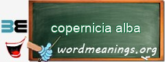 WordMeaning blackboard for copernicia alba